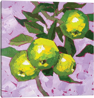 Green Apple Branch Canvas Art Print - Ekaterina Prisich