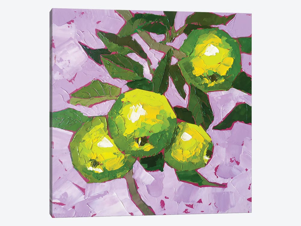 Green Apple Branch by Ekaterina Prisich 1-piece Canvas Artwork