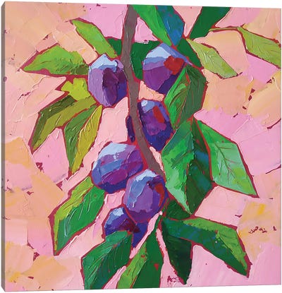 Plum Branch Canvas Art Print - Ekaterina Prisich