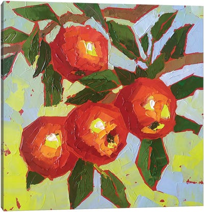 Ripe Apples Canvas Art Print - Ekaterina Prisich