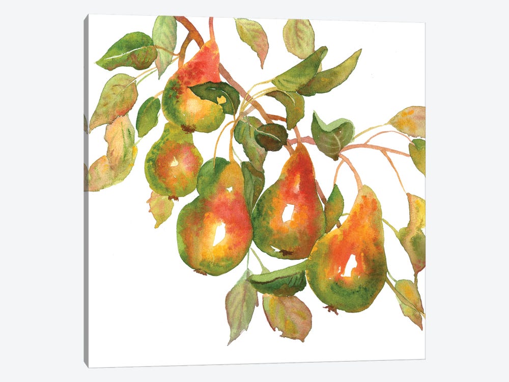 Pear Branch by Ekaterina Prisich 1-piece Canvas Artwork