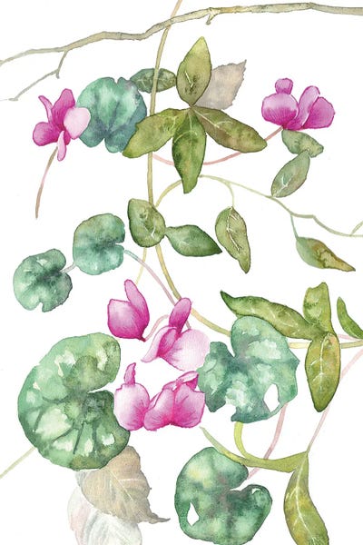Forest Cyclamen by Ekaterina Prisich framed wall art