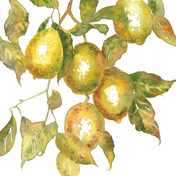 Ekaterina Prisich: Lemon Branch by Ekaterina Prisich