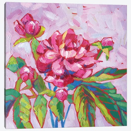 Pink Peony Canvas Print #EKP60} by Ekaterina Prisich Canvas Artwork
