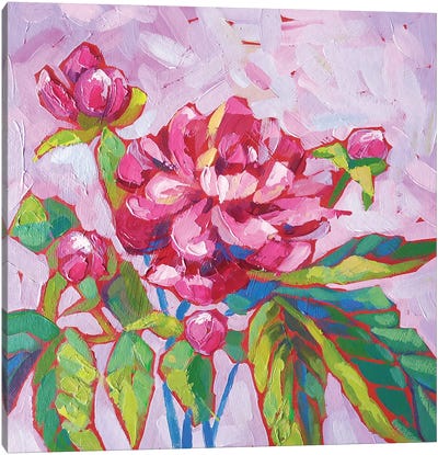 Pink Peony Canvas Art Print - Ekaterina Prisich