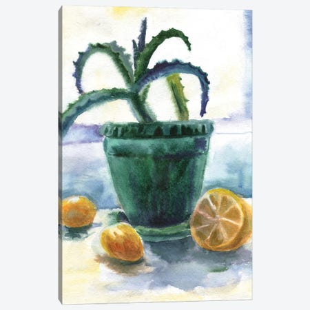 Aloe And Lemons Canvas Print #EKP61} by Ekaterina Prisich Canvas Artwork