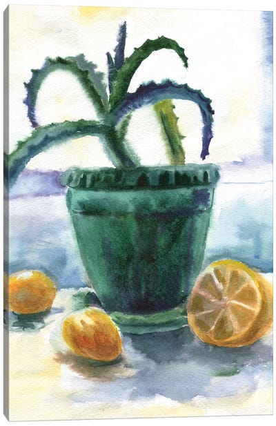 Aloe And Lemons Canvas Art Print - Ekaterina Prisich
