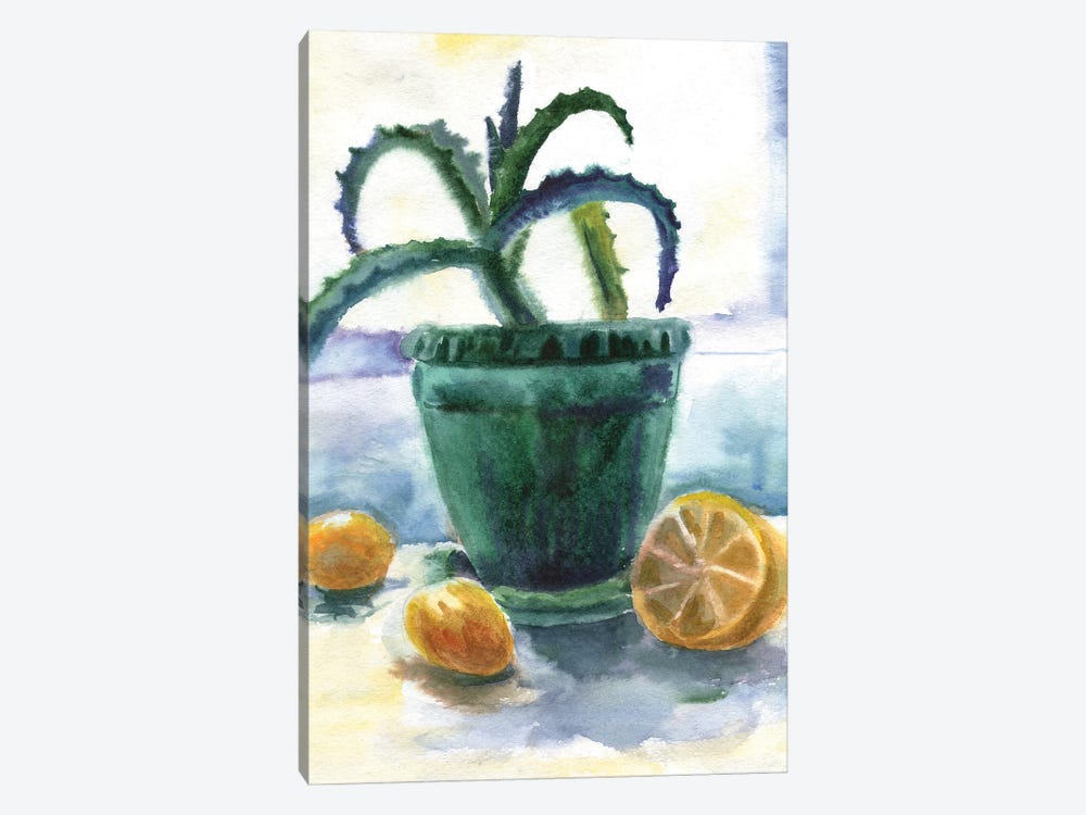 Aloe And Lemons by Ekaterina Prisich 1-piece Canvas Art Print