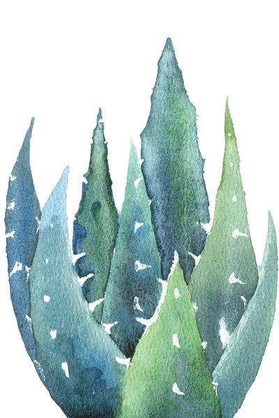 Cactus by Ekaterina Prisich canvas print