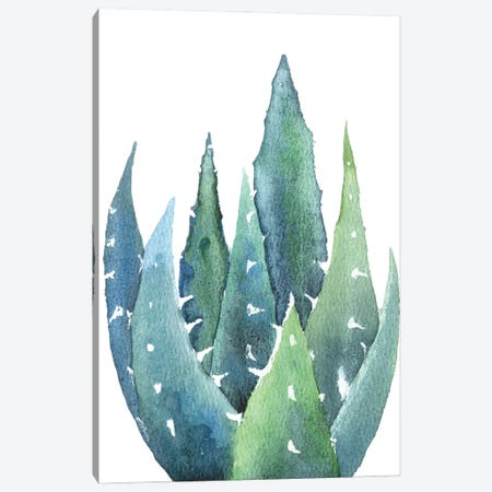 Cactus Canvas Print #EKP62} by Ekaterina Prisich Canvas Art