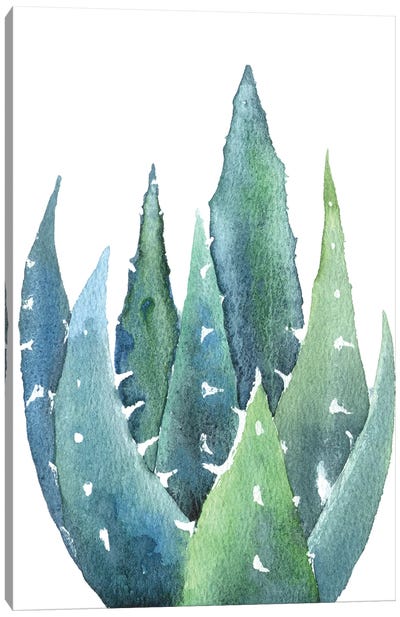 Cactus Canvas Art Print - Ekaterina Prisich