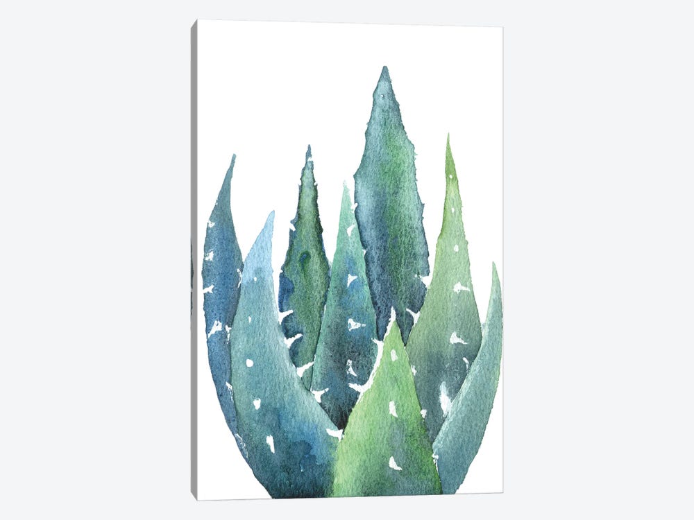 Cactus by Ekaterina Prisich 1-piece Canvas Artwork