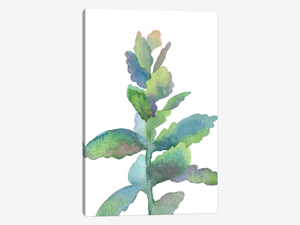 Succulent by Ekaterina Prisich 1-piece Canvas Print