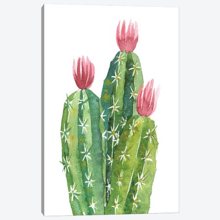 Blooming Cactus Canvas Print #EKP64} by Ekaterina Prisich Canvas Art Print