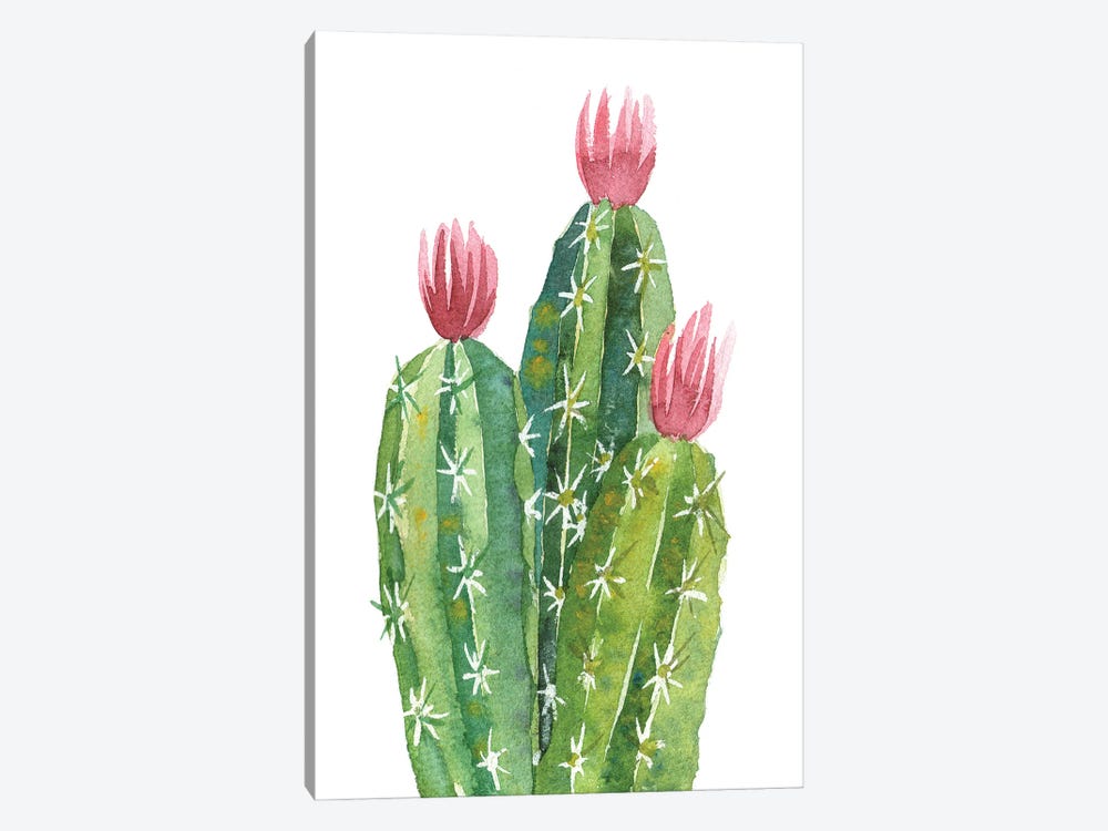 Blooming Cactus by Ekaterina Prisich 1-piece Canvas Art