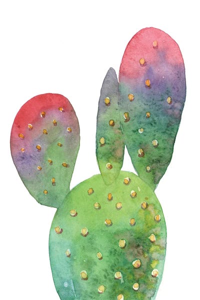 Opuntia by Ekaterina Prisich framed wall art