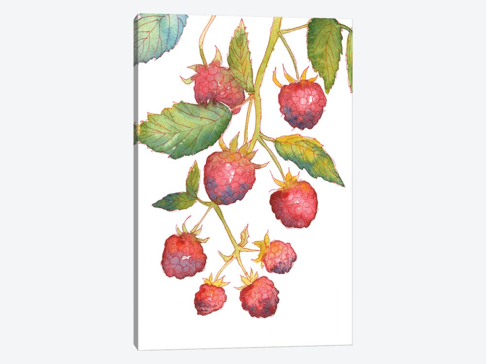 Raspberry Branch by Ekaterina Prisich 1-piece Canvas Wall Art