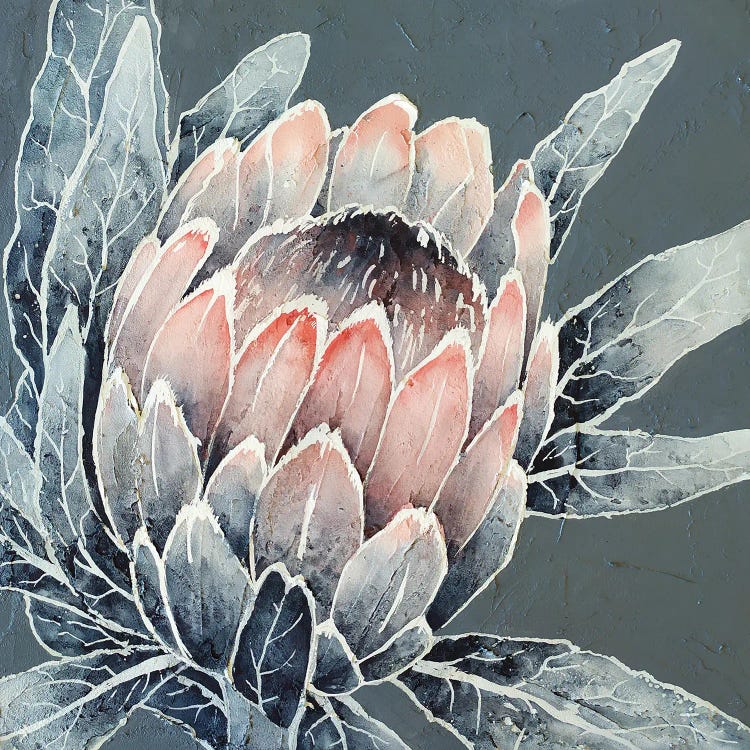 Monochrome Protea by Ekaterina Prisich wall art