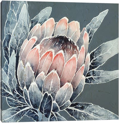 Monochrome Protea Canvas Art Print - Ekaterina Prisich