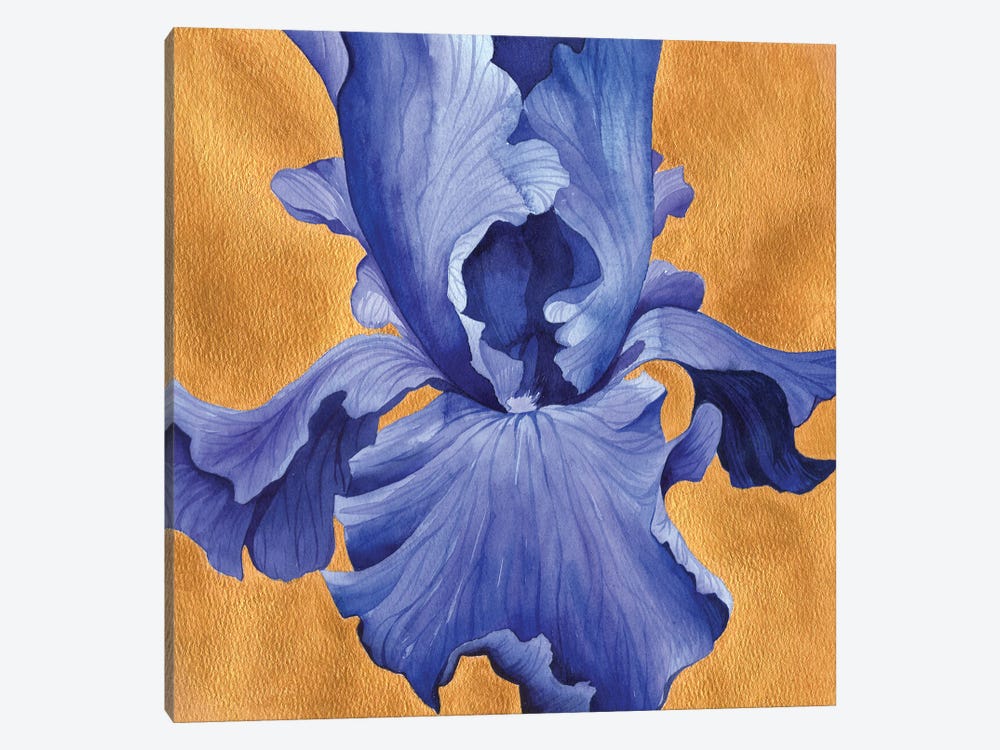Deep Blue Iris On Gold by Ekaterina Prisich 1-piece Canvas Art