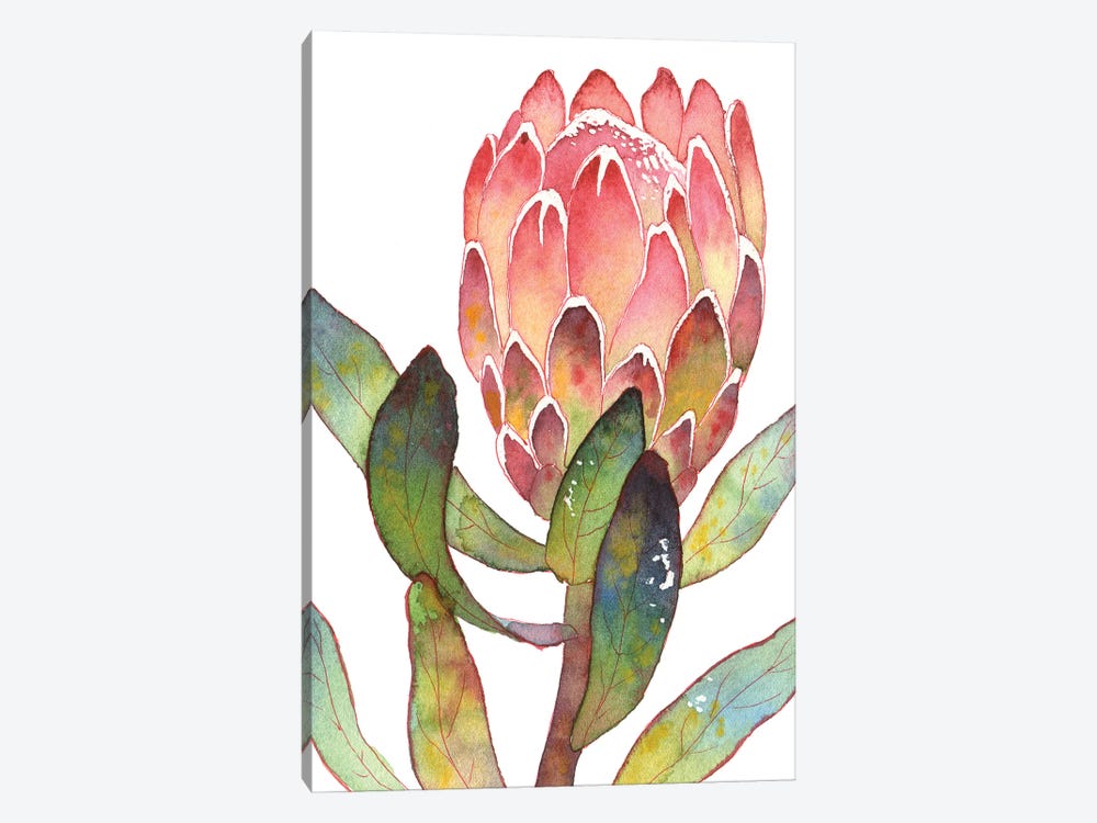 Colorful Protea by Ekaterina Prisich 1-piece Canvas Print