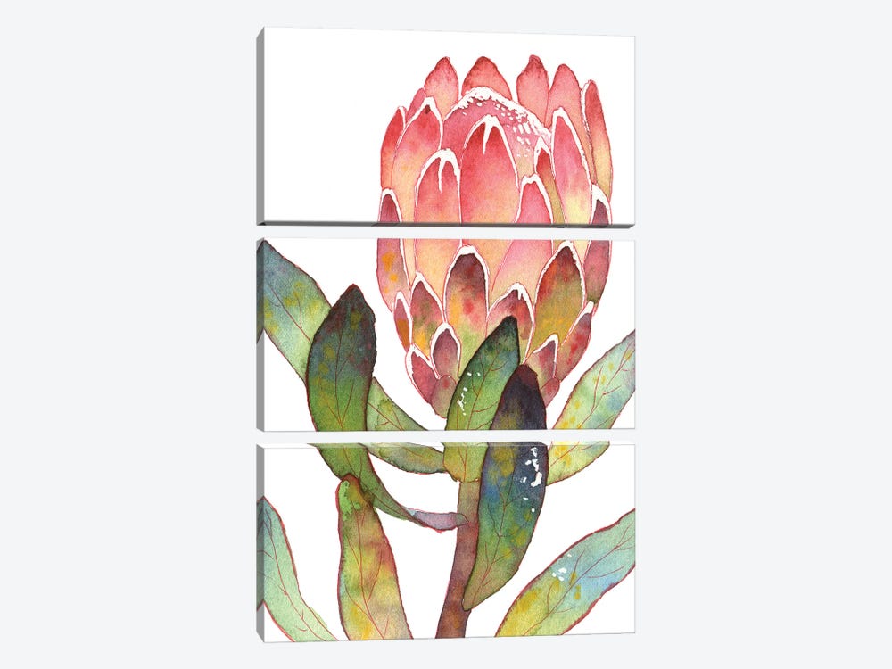 Colorful Protea by Ekaterina Prisich 3-piece Art Print