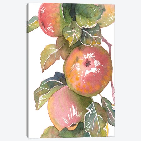 Apples Canvas Print #EKP74} by Ekaterina Prisich Canvas Art
