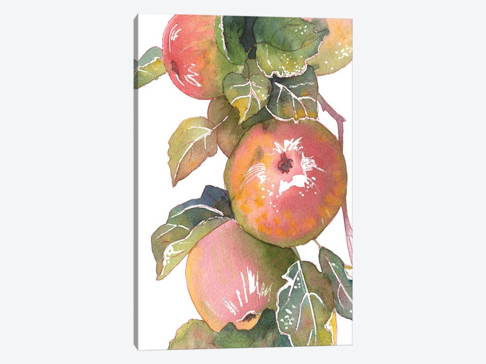 Apples by Ekaterina Prisich 1-piece Canvas Art Print