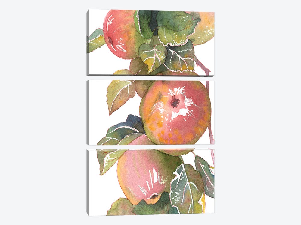 Apples by Ekaterina Prisich 3-piece Canvas Art Print