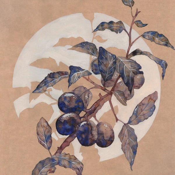 Ekaterina Prisich: Craft Plum by Ekaterina Prisich