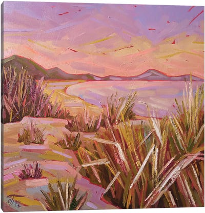 Coastal Thickets At Dusk Canvas Art Print - Pastel Impressionism
