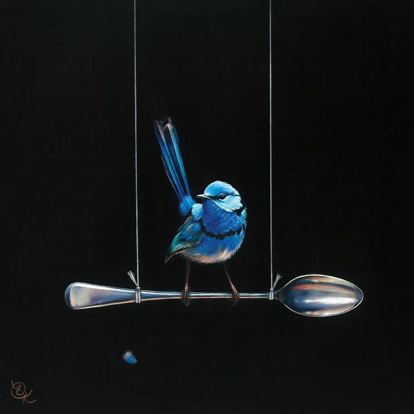 Elena Kolotusha: Spoon Perch (Splendid Fairy-Wren) by Elena Kolotusha