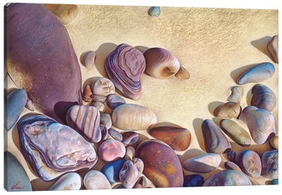 Palette Of Stones - Hallett Cove, Sa Canvas Art Print - Ocean Treasures
