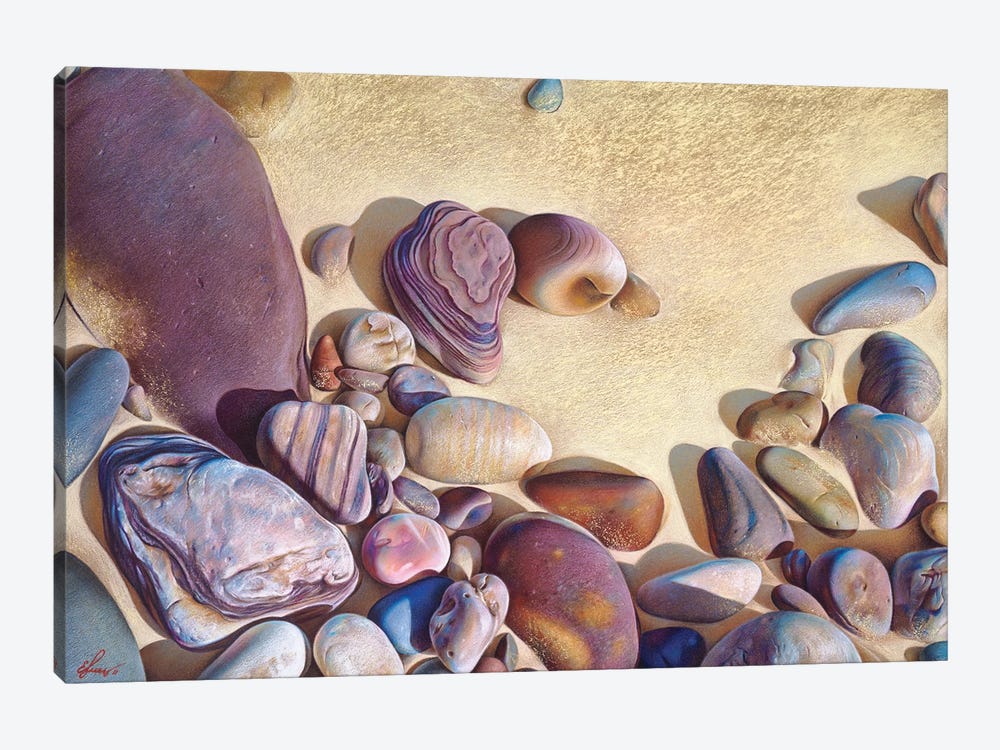 Palette Of Stones - Hallett Cove, Sa by Elena Kolotusha 1-piece Canvas Artwork
