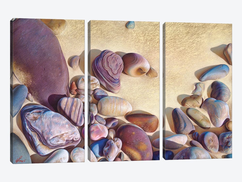 Palette Of Stones - Hallett Cove, Sa by Elena Kolotusha 3-piece Canvas Wall Art