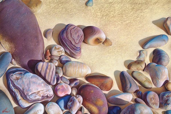 Ocean Treasures: Palette Of Stones - Hallett Cove, Sa by Elena Kolotusha