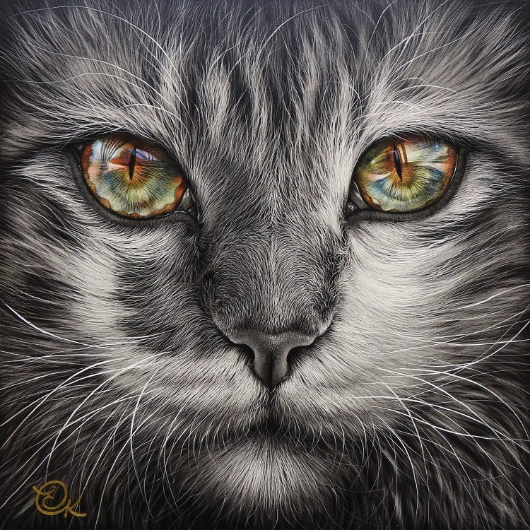 Reflections by Elena Kolotusha wall art