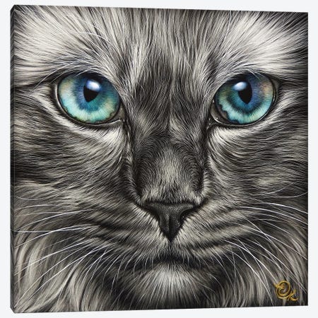 Blue Stare Canvas Print #EKT15} by Elena Kolotusha Canvas Art