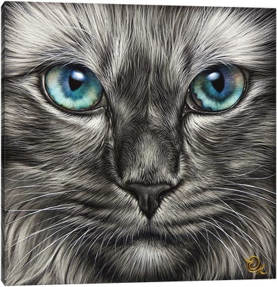 Blue Stare Canvas Art Print - Elena Kolotusha
