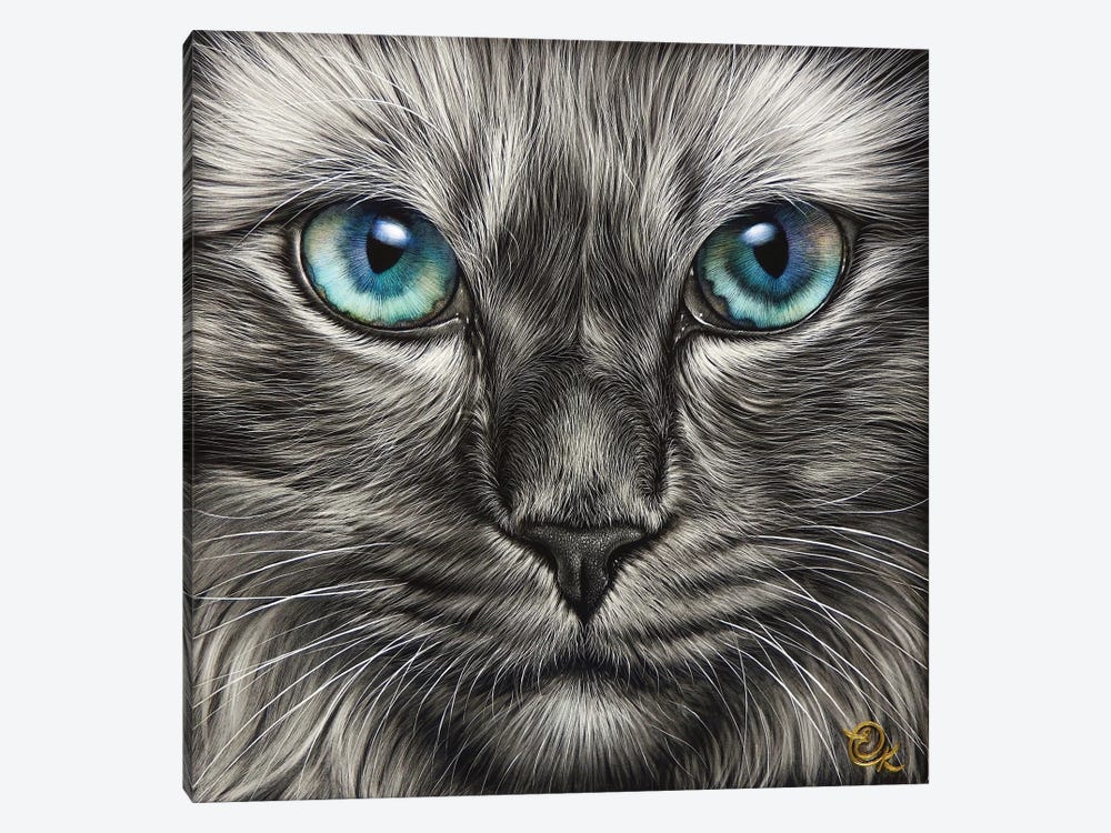 Blue Stare by Elena Kolotusha 1-piece Canvas Art Print