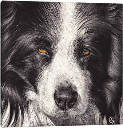 Loyal Companion Canvas Art Print - Shetland Sheepdog Art