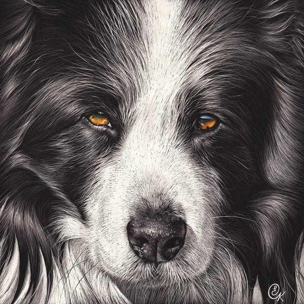 Shetland Sheepdogs: Loyal Companion by Elena Kolotusha