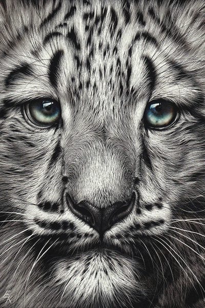 Elena Kolotusha: Snow Baby by Elena Kolotusha