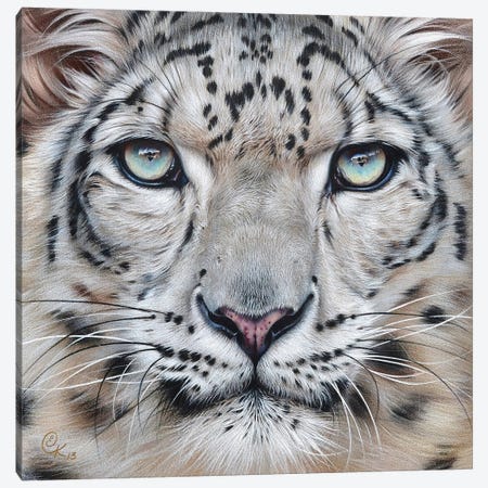 Faces Of The Wild - Snow Leopard Canvas Print #EKT18} by Elena Kolotusha Canvas Print