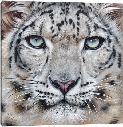 Faces Of The Wild - Snow Leopard Canvas Art Print - Elena Kolotusha