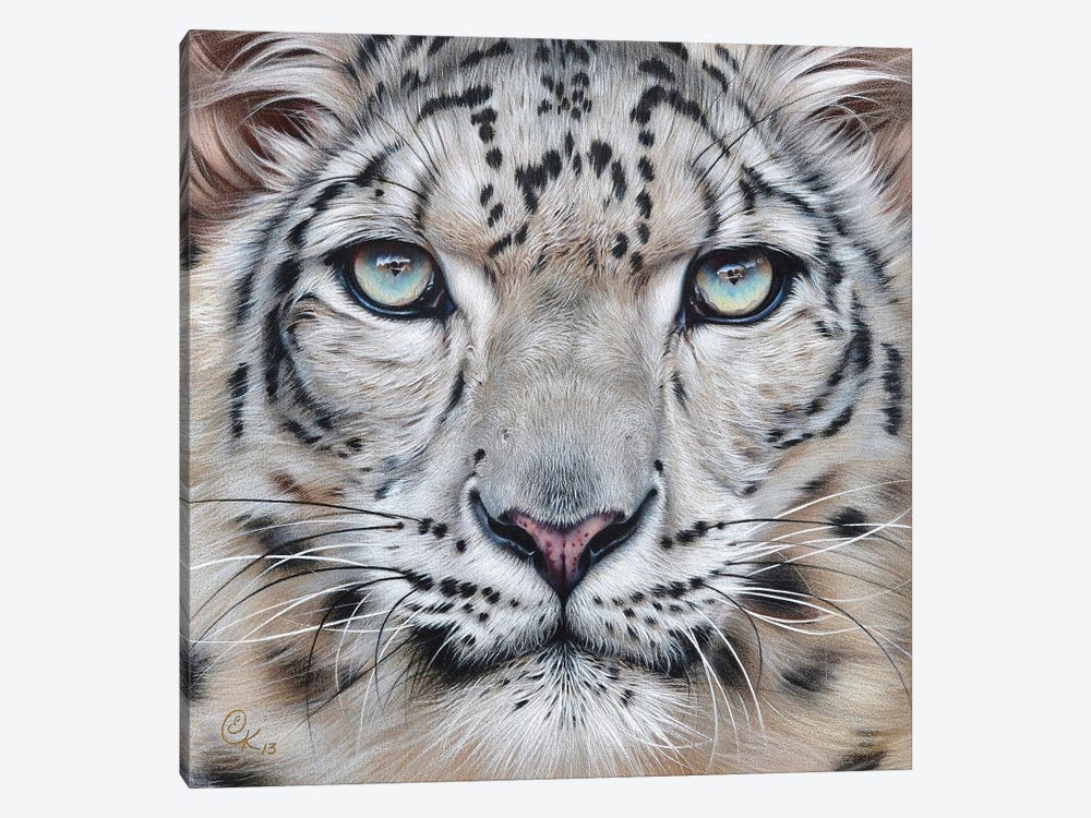 Faces Of The Wild - Snow Leopard by Elena Kolotusha 1-piece Canvas Artwork