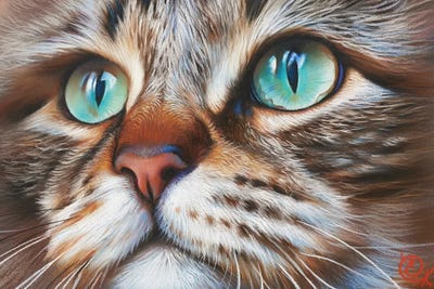 Cat's Face by Elena Kolotusha canvas print