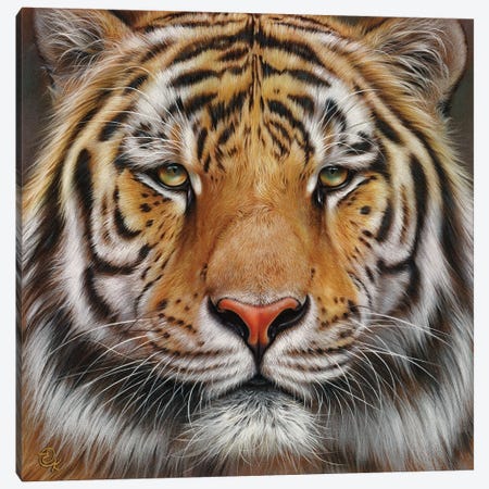 Faces Of The Wild - Amur Tiger Canvas Print #EKT1} by Elena Kolotusha Art Print