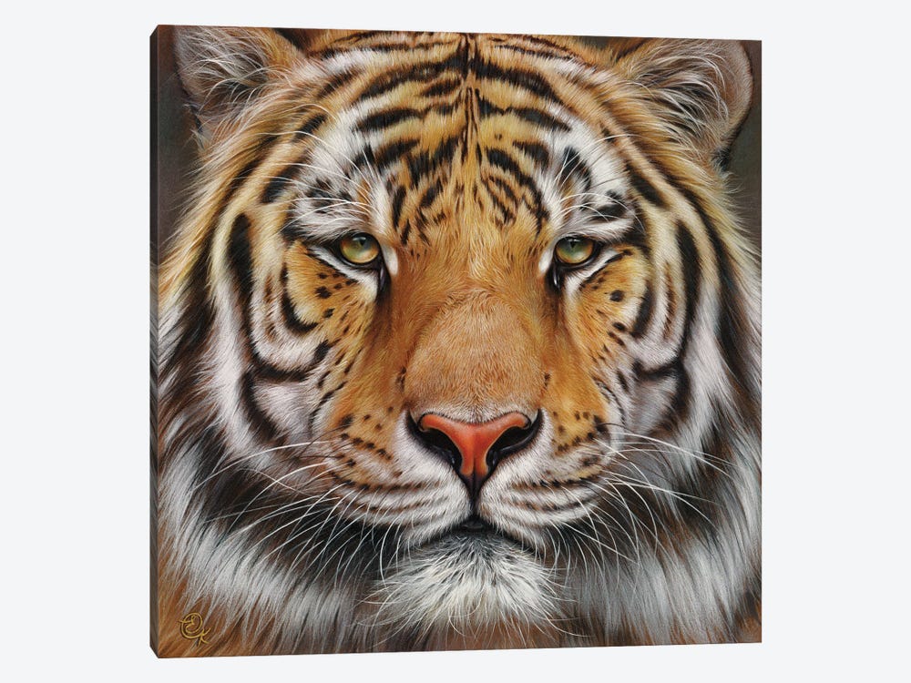 Faces Of The Wild - Amur Tiger by Elena Kolotusha 1-piece Canvas Art Print