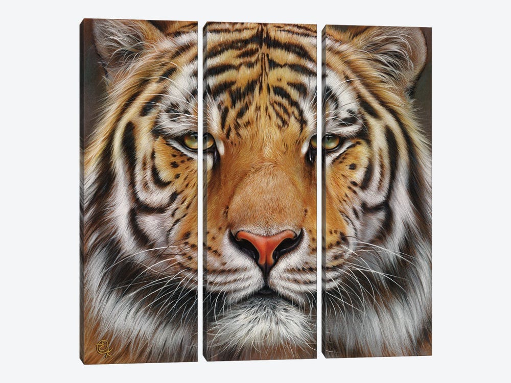 Faces Of The Wild - Amur Tiger by Elena Kolotusha 3-piece Canvas Art Print